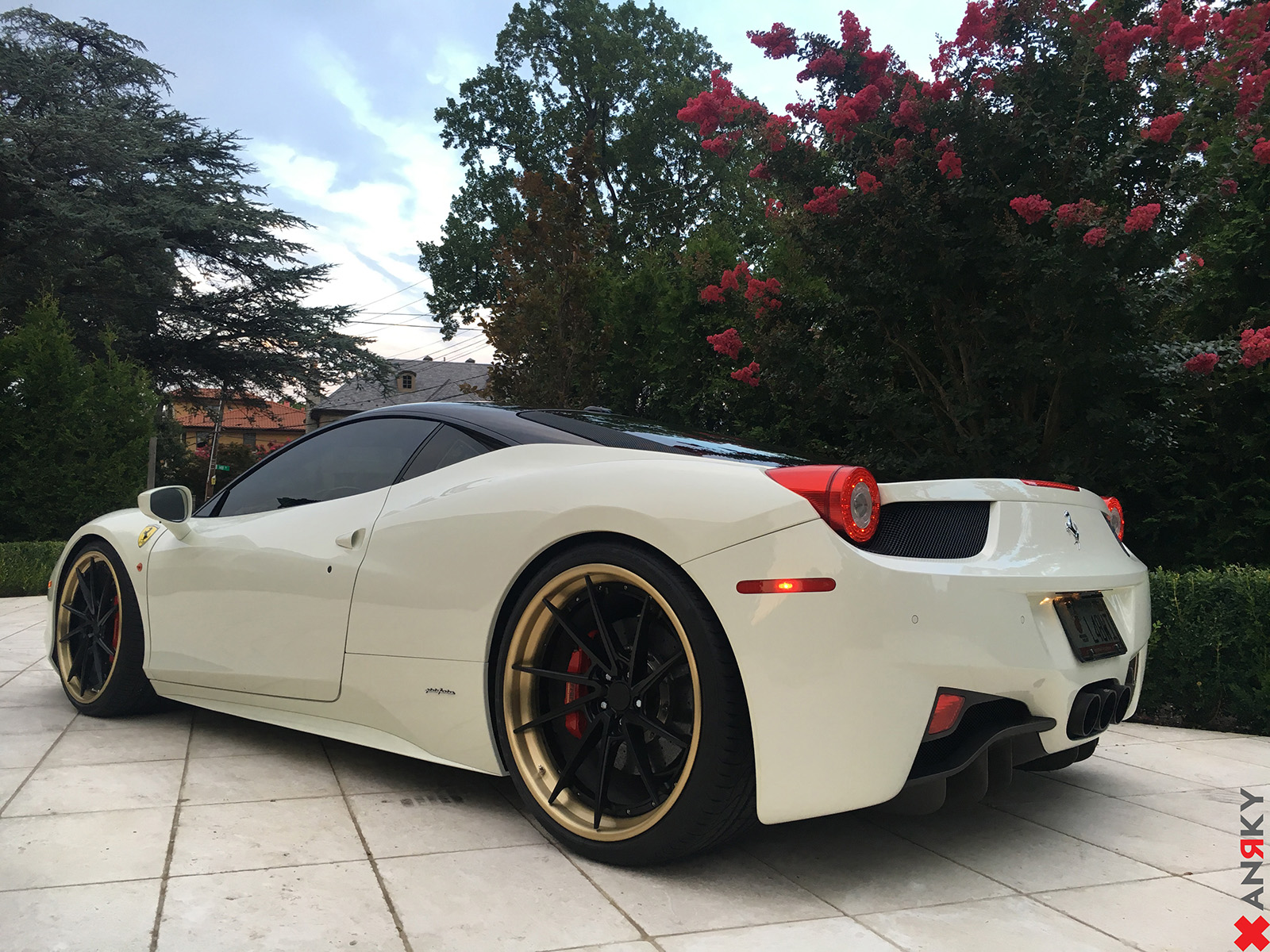 Satin Black Center | Alumi-Gold Lips | 50/50 Hardware | 21/22"