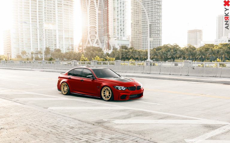an33-bmw-f80-m3_38428998646_o