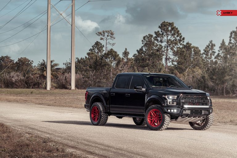 anrky-an36-ford-f150-raptor_40098596264_o