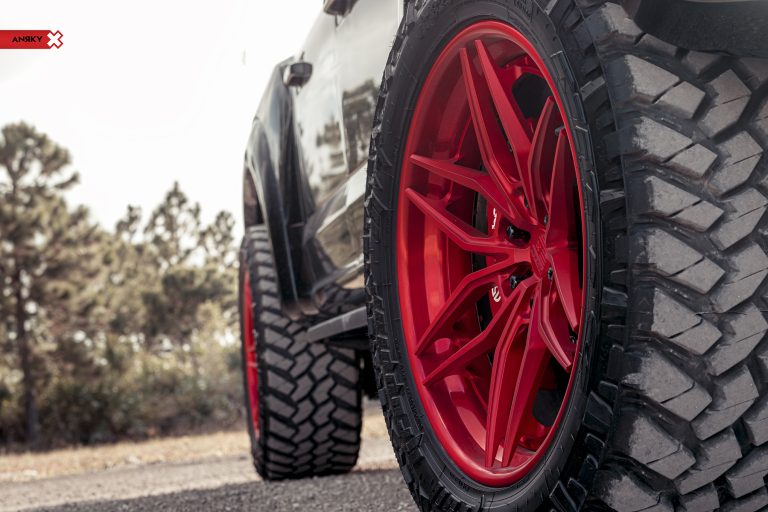 anrky-an36-ford-f150-raptor_26938105448_o