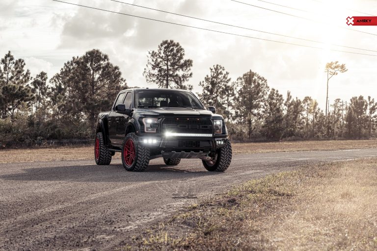 anrky-an36-ford-f150-raptor_26938103568_o