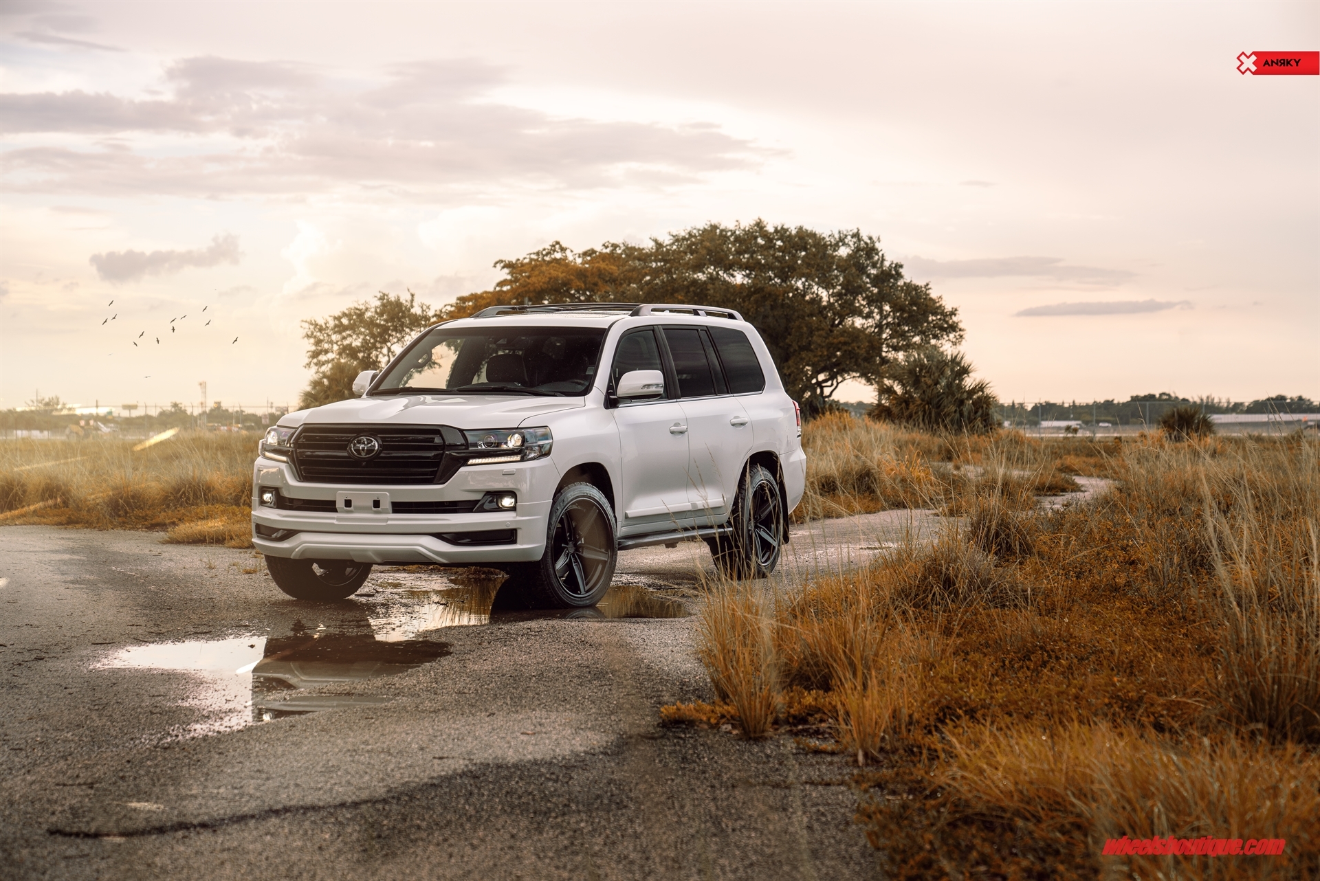 anrkywheels_toyotalandcruiser_wb-3_48491071137_o