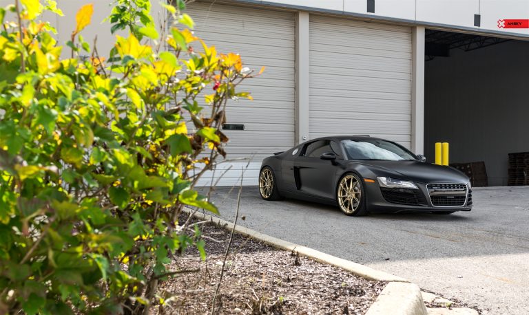 ANRKY Wheels – Audi R8 – AN13 SeriesONE Monoblock_49066479416_o