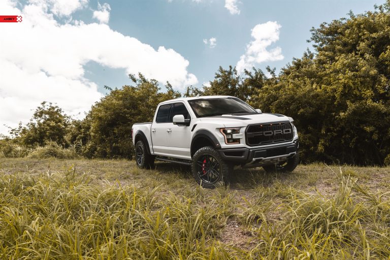 ANRKY Wheels – Ford F150 Raptor – AN36 SeriesTHREE_49917412651_o
