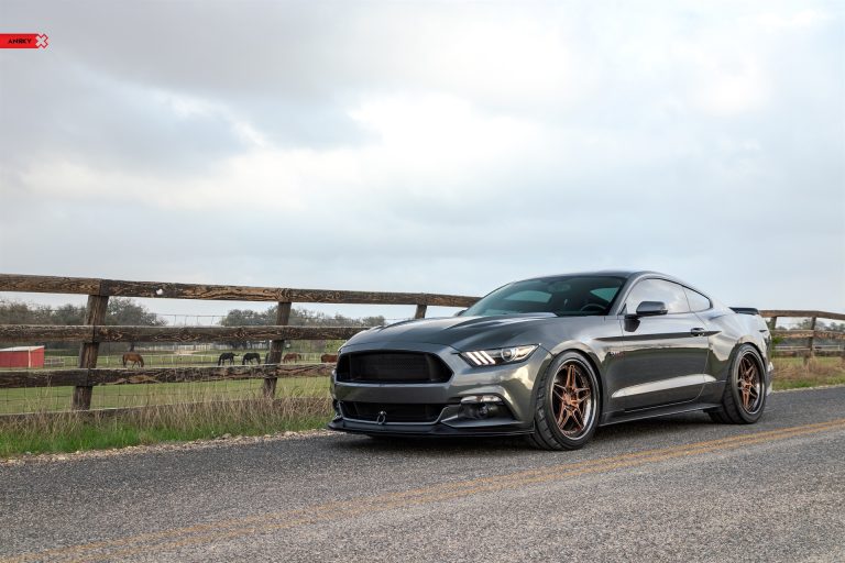 ANRKY Wheels – S550 Mustang GT – RETROSeries Rs6_51081680987_o