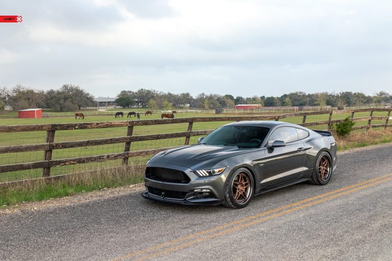 ANRKY Wheels – S550 Mustang GT – RETROSeries Rs6_51081679382_o