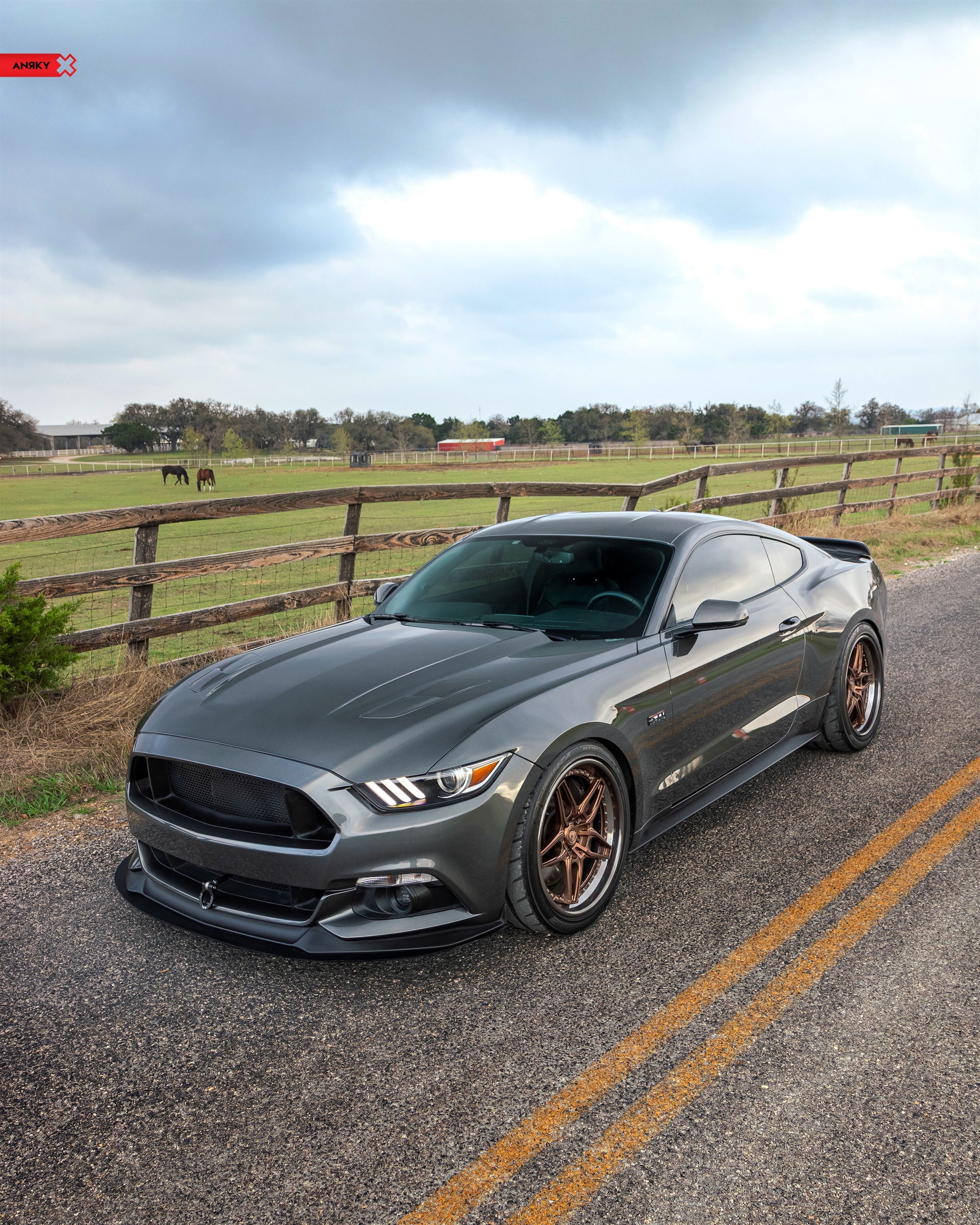 ANRKY Wheels - S550 Mustang GT - RETROSeries Rs6_51012401605_o