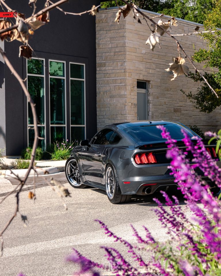 ANRKY Wheels – S550 Ford Mustang GT – RETROSeries RS6_51697817303_o