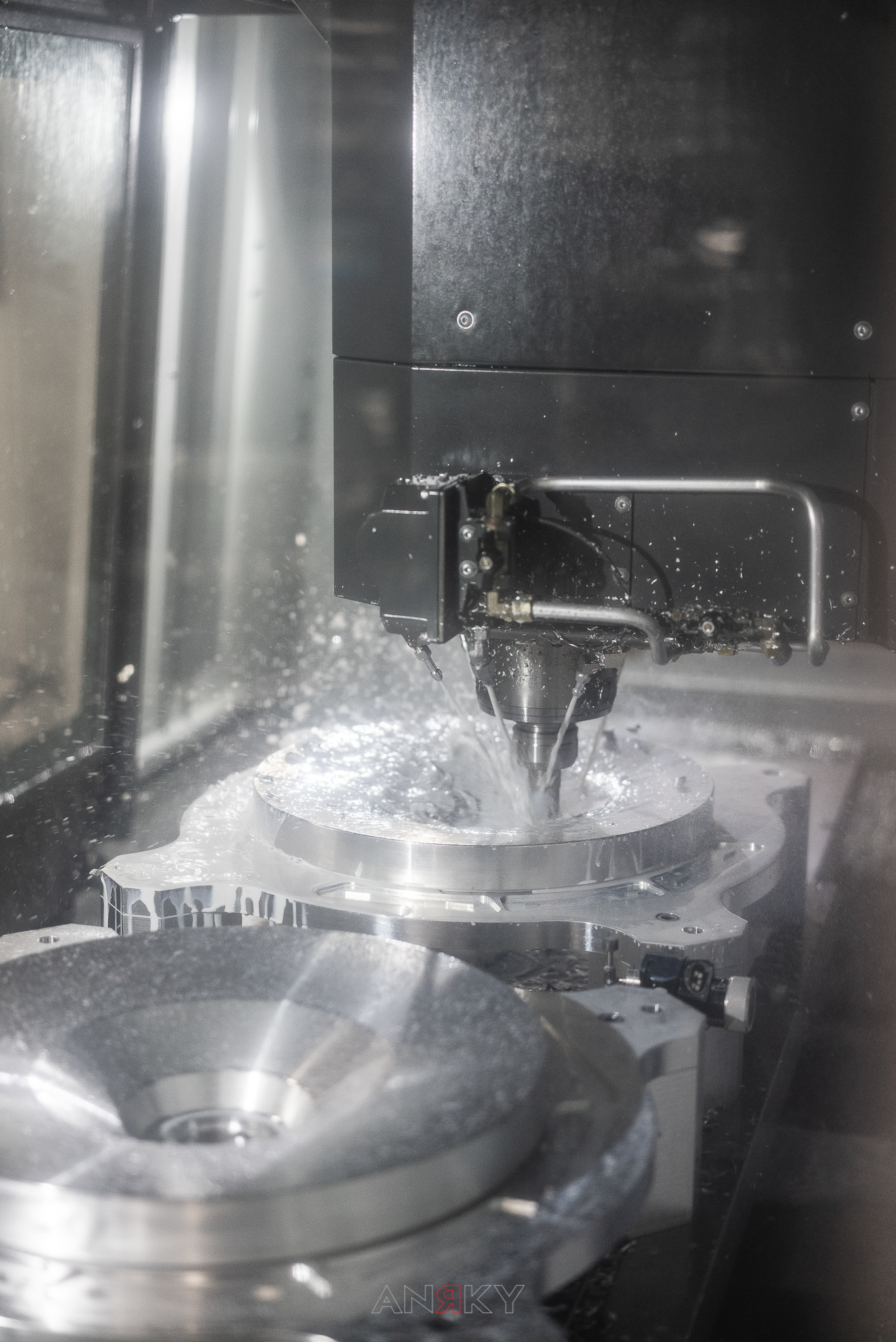 50613937932_8a458b9c1e_o