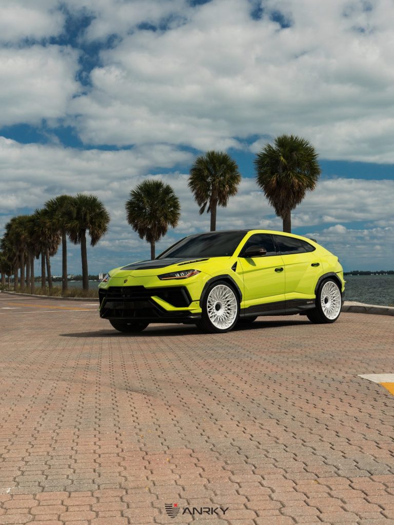 Custom Forged Wheel Gallery for Exotics - ANRKY Wheels